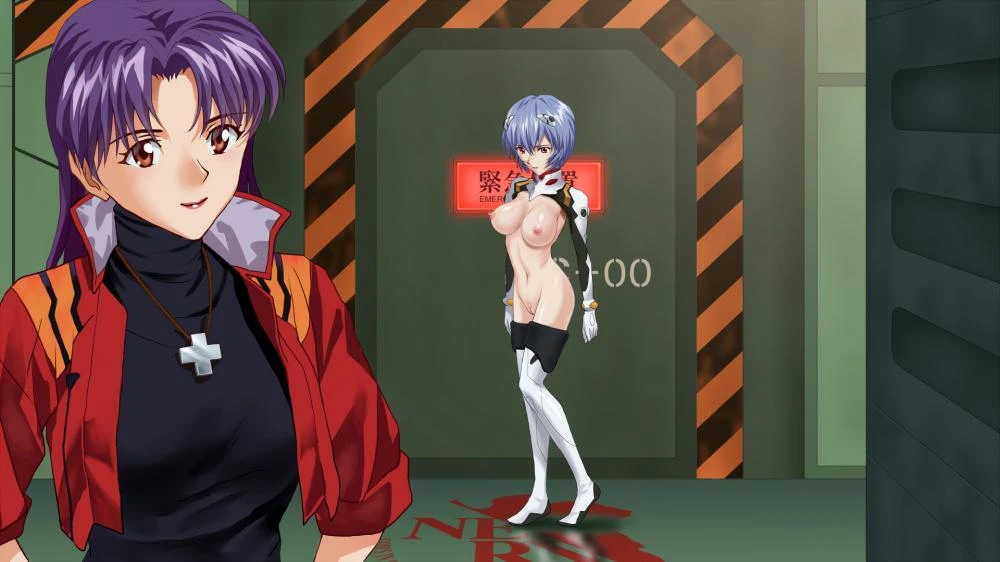 ayanami-reikatsuragi-misato