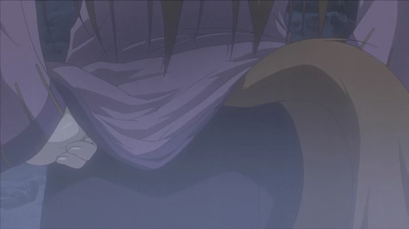 holo
