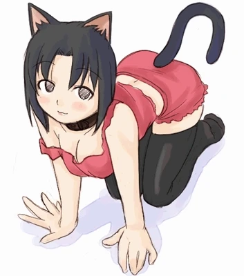 mizuno youko